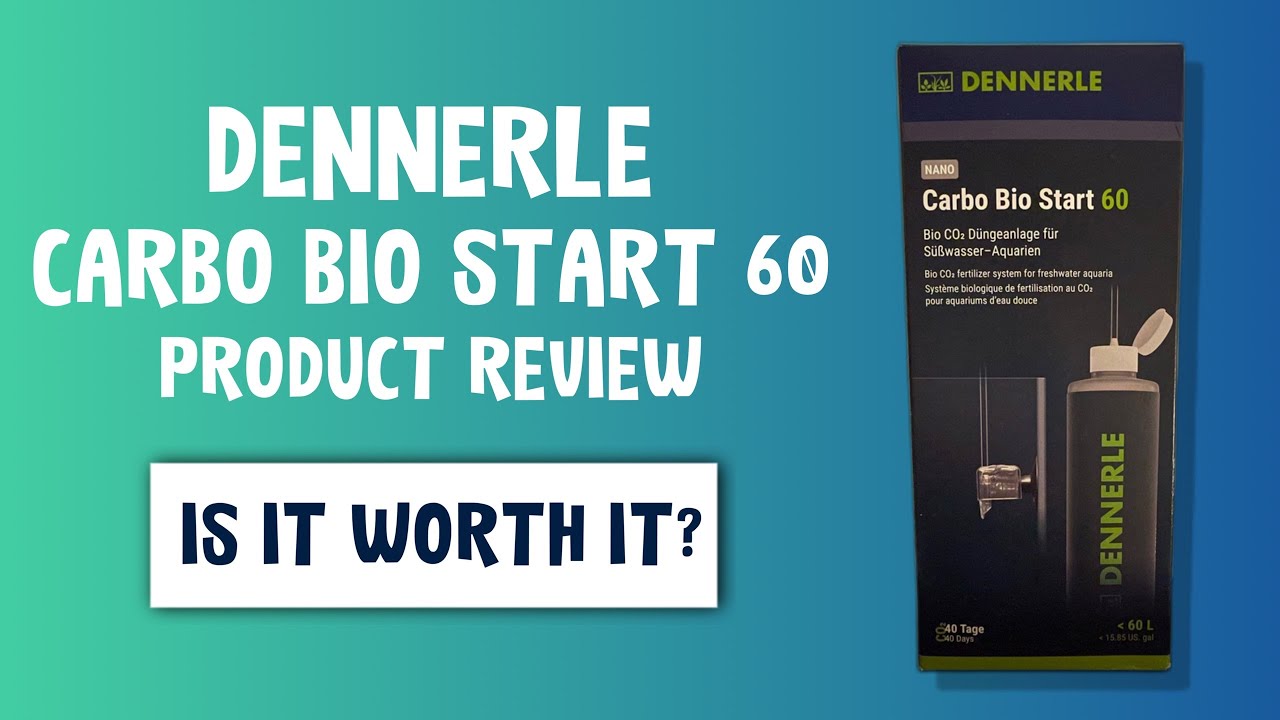 Dennerle Carbo Bio Start 60 - Fertilizzante CO2 Biologico Per Acquari Acqua Dolce