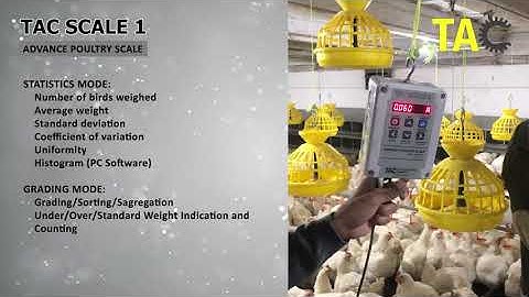 TAC SCALE 1 Introduction Video