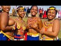 african zulu dance