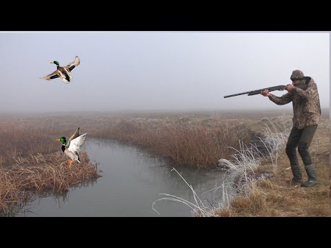 YEŞİLBAŞ KİRİK ÖRDEK AVI 2023. SİS'TE AV İYİ GEÇTİ. ÖRDEK KAMPI. Duck Hunting/Охота на утку. 2023
