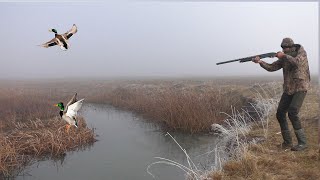 YEŞİLBAŞ KİRİK ÖRDEK AVI 2023. SİS'TE AV İYİ GEÇTİ. ÖRDEK KAMPI. Duck Hunting/Охота на утку. 2023