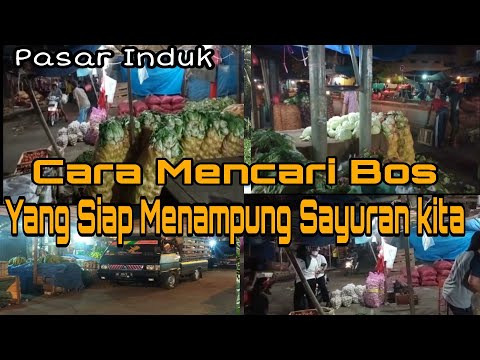 Tips Sukses Bisnis Untuk Pemula, Cara Mencari Bos Sayur Di Pasar Induk