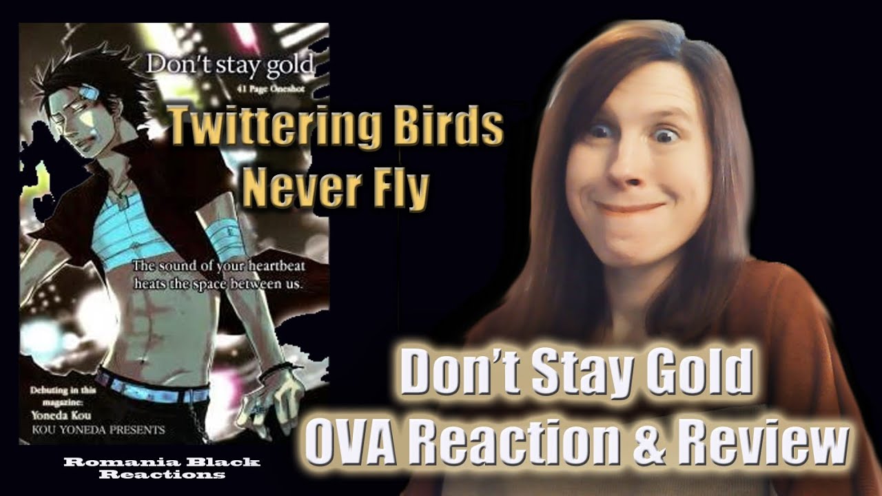 Don't Stay Gold: Twittering Birds Never Fly OVA Reaction & Review