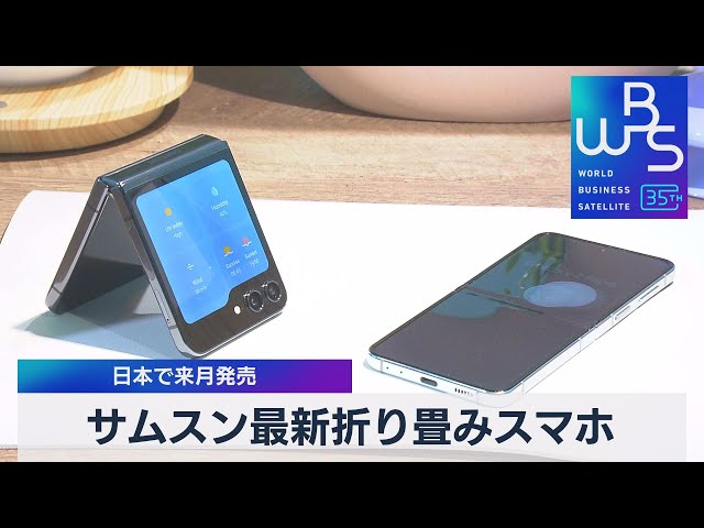 サムスン最新折り畳みスマホ 日本で9月発売【WBS】（2023年8月22