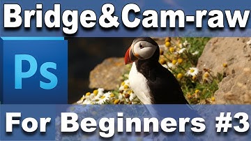 Photoshop Tutorial - Adobe bridge and camera raw part 3