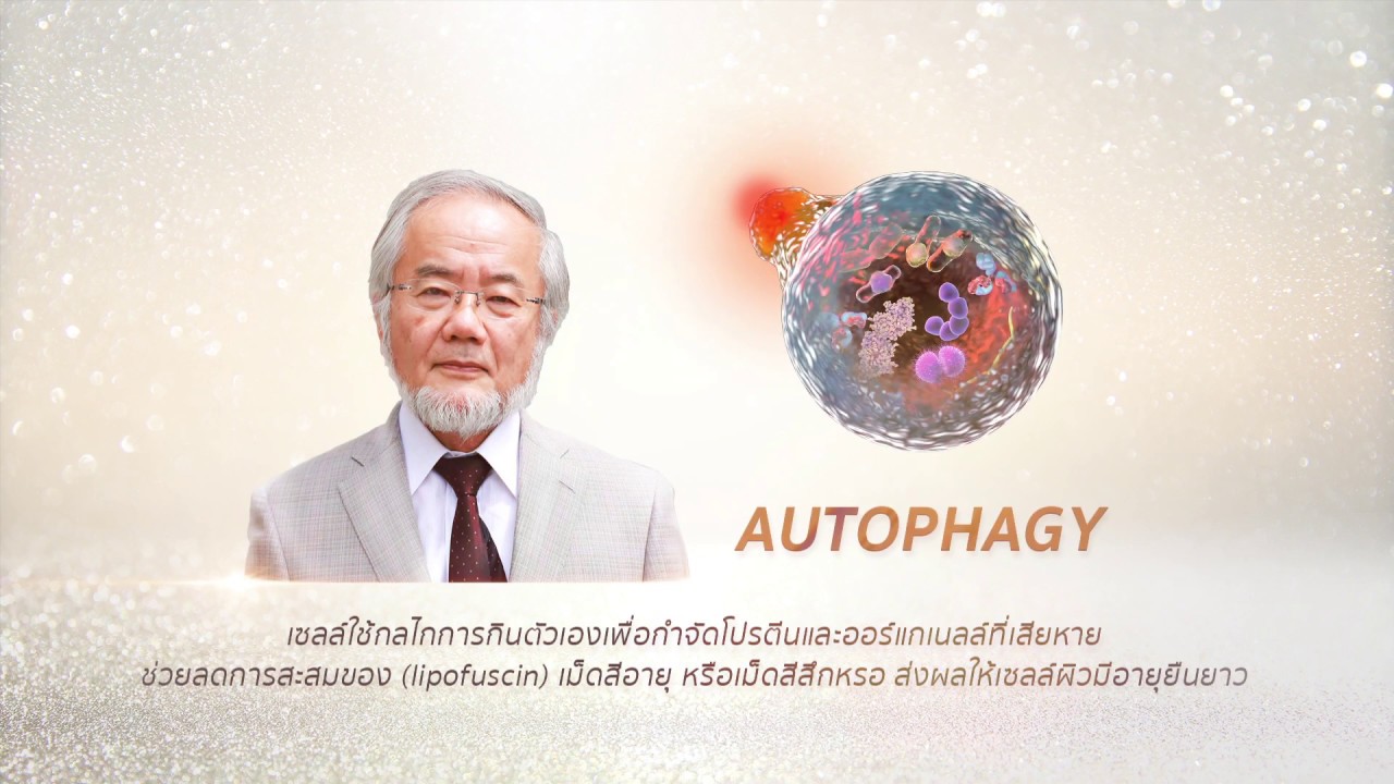 SEALUXEⓇ CELLDETOX RENEWING AMPOULE [Greenleaf Thailand]