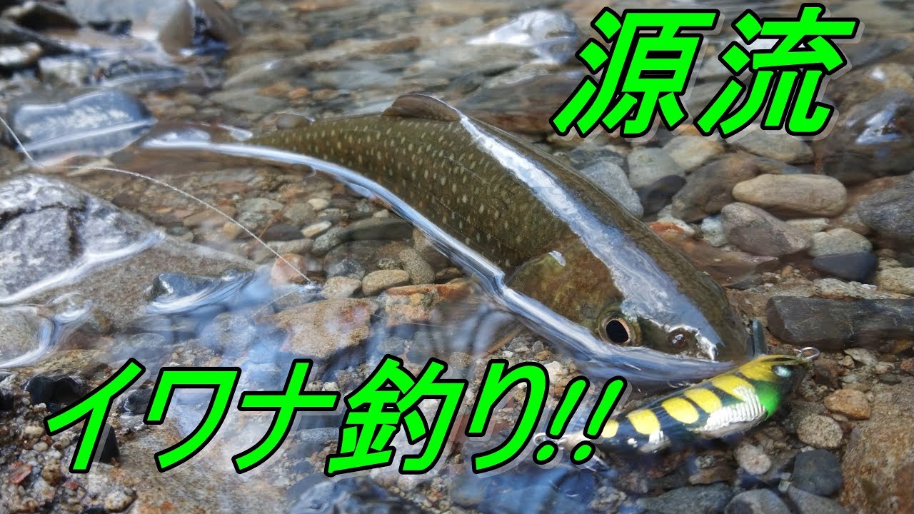 源流ルアーでイワナ釣り 彡 Japanese Mountain Stream Youtube