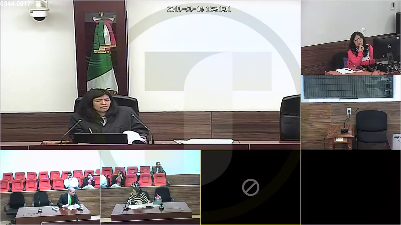 Audiencia preliminar juicio oral mercantil.