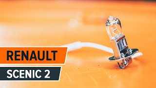 Wie RENAULT SCÉNIC II (JM0/1_) Kennzeichenleuchte wechseln - Video-Tutorial