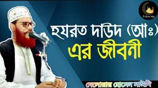 দাউদ নবীর জীবনী || Daud nobir jiboni || আল্লামা দেলোয়ার হোসেন সাঈদি বাংলা ওয়াজ মাহফিল