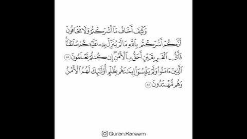القارئ سعد الغامدي - سورة الأنعام - من الآية 81 إلى الآية 82