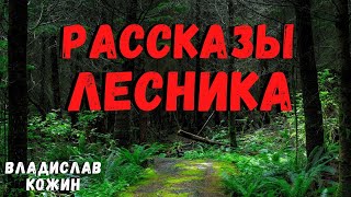 РАССКАЗЫ ЛЕСНИКА | Страшные истории