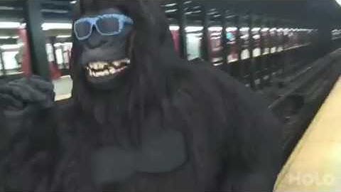 Gorilla on the Platform: Augmented reality via Google Tango on Lenovo Phab2 Pro.