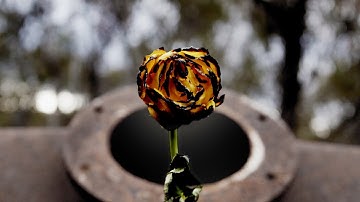 NTH RD - "Making Memories" (Official Music Video) | BVTV Music