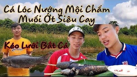 Tát Ao Bắt Cá Và Làm Món Cá Lóc Rừng Nướng Trui/ Will Dung Bua deeply regrets eating spicy fish