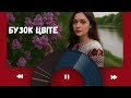 Бузок цвіте Українська пісня про кохання 