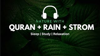 Quran With Rain  Thunder Sounds Amazing Recitation Surah Al Baqarah  Sleeping Problem Solution
