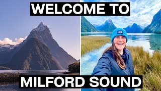 MILFORD SOUND New Zealand- Is it WORTH it? The 8TH wonder of the world!