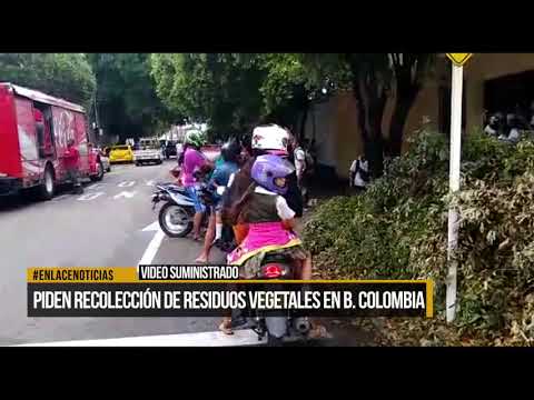 Piden recolección de residuos vegetales en Barrio Colombia