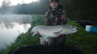 Pêche à la carpe: session rapide et gros amour blanc [HD]