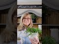 Easter Pinterest Recreation