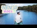 ORANGUTANES EN LIBERTAD. BORNEO | INDONESIA VLOG 5