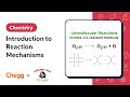 Understanding Reaction Mechanisms and Molecularity