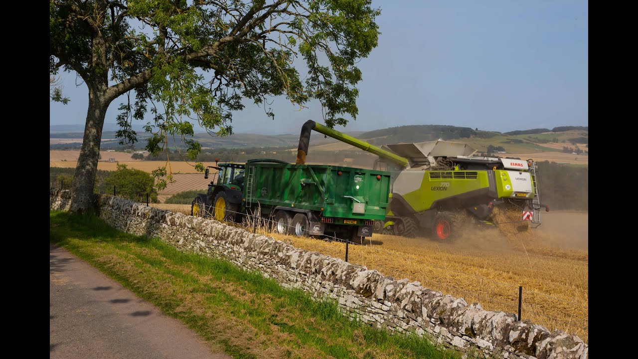 Lour Compilation Video 2021