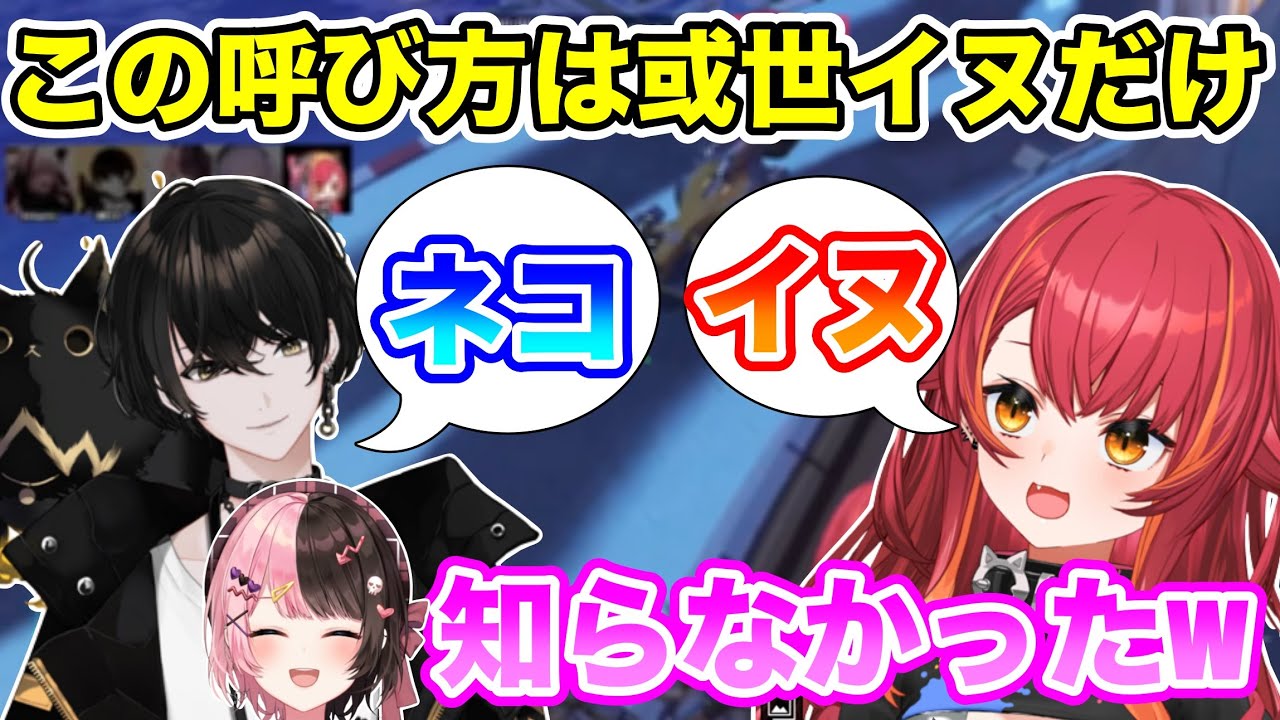 お互いにイヌ・ネコで呼び合っている猫汰つなと或世イヌ【猫汰つな/ぶいすぽ/切り抜き】