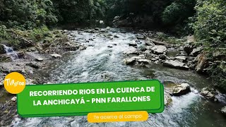 Recorriendo ríos en la Cuenca de la Anchicayá -PNN farallones-TvAgro por Juan Gonzalo Angel Restrepo