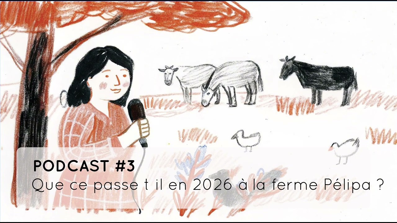 podcast#3 - que ce passe t'il en 2026 à la ferme pelipa ?