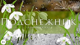 Сказка про подснежник | Аудиосказки с картинками | Весенние сказки