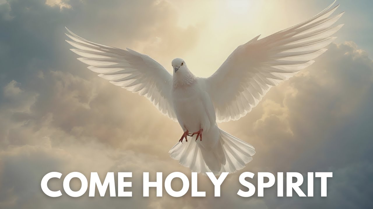 Come Holy Spirit | Time with God | Prayer time | Soaking Worship Instrumental