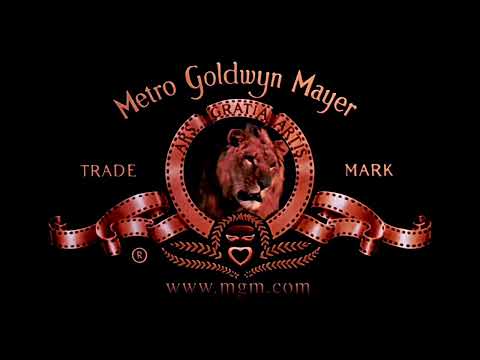 JERZEES Metro Goldwyn Mayer デッドストック Metro Goldwyn Mayer MGM 80s VINTAGE デッドストック