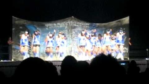 FAMU Homecoming Stepshow 2010: Zeta Phi Beta Part 2
