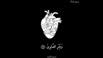 قَالُوا إِنَّا لِلَّهِ وَإِنَّا إِلَيْهِ رَاجِعُونَ 🌸 سورة البقرة من اية 155_157