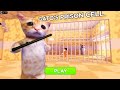 MELARIKAN DIRI SUPER CEPAT DARI PENJARA EL GATO #roblox #robloxgames 