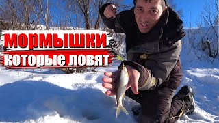 МОРМЫШКИ БЕЗМОТЫЛКИ | зимняя рыбалка на мормышку | ловля ельца.