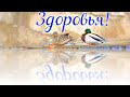 КАРАНТИНКА! Пожелание самого ценного в жизни - ЗДОРОВЬЯ! Пожелай всем родным и  близким здоровья!