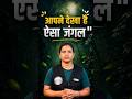 क्या आपने देखा है ऐसा जंगल।