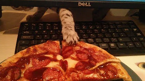 Cat Steals Pizza! - DayDayNews