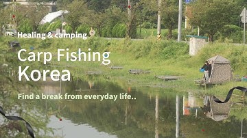 Healing crucian carp fishing story in a reservoir in Korea. [vlog-02]