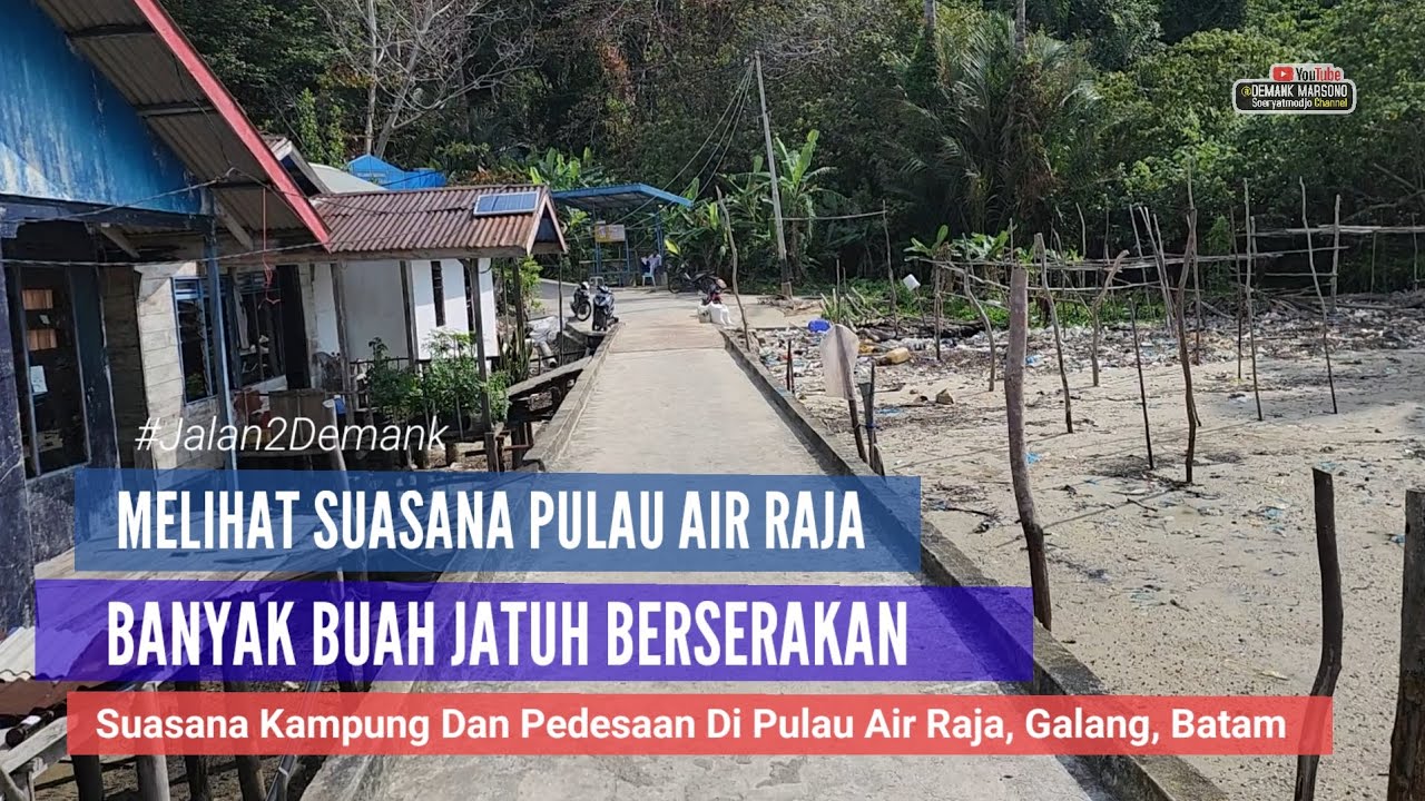 KELILING PULAU AIR RAJA • Saking Banyaknya Buah-buahan Banyak Jatuh Berserakan Tidak Ada Yang Pungut