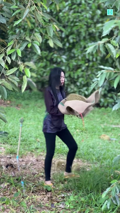 ASMR Catching Durian 😱