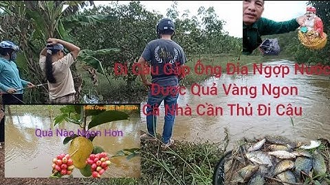 Đi Câu Gặp Ông Điạ Ngợp Nước, Tắm Cho Ông Địa Được Quả Ngon