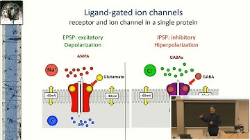 Consciousness as a natural phenomenon