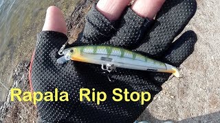 Rapala RipStop Jerkbait Review - Wired2Fish