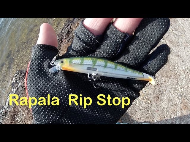 Walleye Jerkbait Fishing (Rapala RipStop Deep)! 