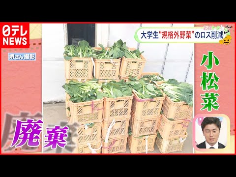 【特集】食品ロス削減　学生たちがアイデアで挑戦...捨てられる食材を減らすユニークなアイデアとは？