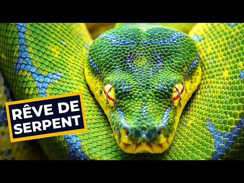 Rêver de serpent